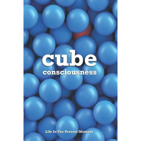 Cube Consciousness: Life In The Present Moment (Paperback)
