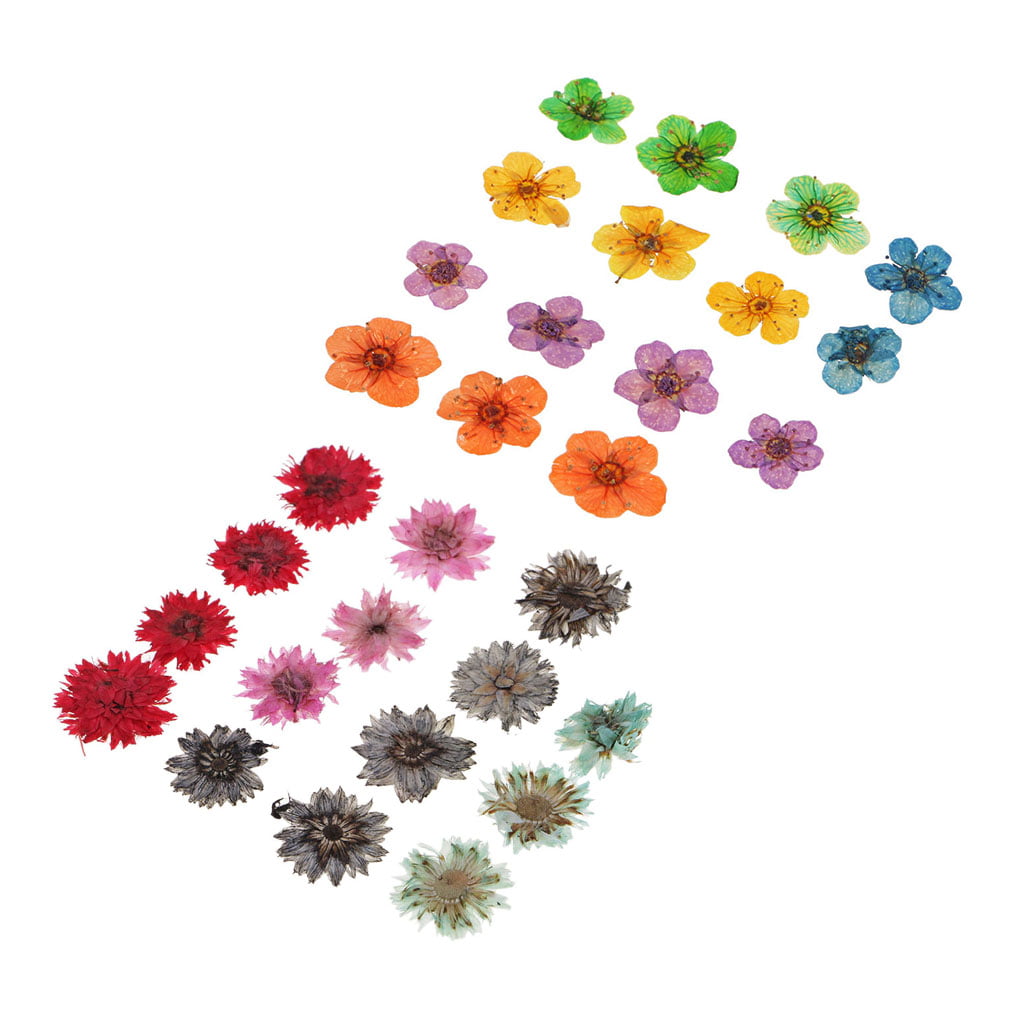 30x Natural Real Dried Flowers Embellishment for Art Craft DIY Nail Art 8mm 