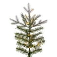 thumbnail image 2 of Vickerman 6.5' x 50" Frosted Douglas Fir Artificial Christmas Tree with Warm White LED Lights., 2 of 6