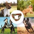 thumbnail image 5 of Comfort Collar, Soft Cowhide Padded Dog Collar For All Breeds, Reflective Velcro Patch, 5 of 5