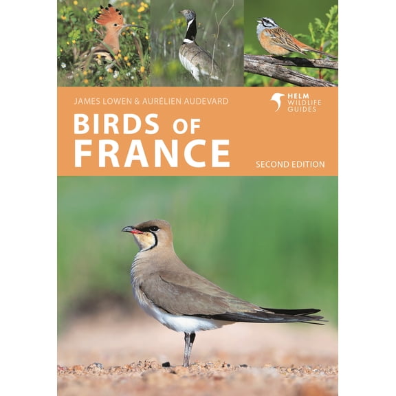 Helm Wildlife Guides: Birds of France : Second Edition (Edition 2) (Paperback)