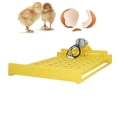 thumbnail image 1 of 4W Digital Automatic Egg Turner Tray, 32 Eggs Plastic Tray 45 Swing Turning Hatcher For Chicken Goose, Universal Egg Racks Egg Incubator Turner Hatcher Brooder, 1 of 8