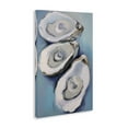 thumbnail image 4 of Stupell Industries Oyster Seashell Trio Animals & Insects Painting Gallery Wrapped Canvas Art Print Wall Art, 30 x 45, 4 of 8