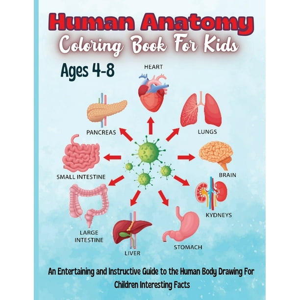 Download Human Anatomy Coloring Book Over 30 Human Body Coloring Pages Fun And Educational Way To Learn About Human Anatomy For Kids Paperback Walmart Com Walmart Com
