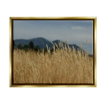 Stupell Industries Wheat Field Landscape Nature Photography Gold Floater Framed Art Print Wall Art, 21 x 17