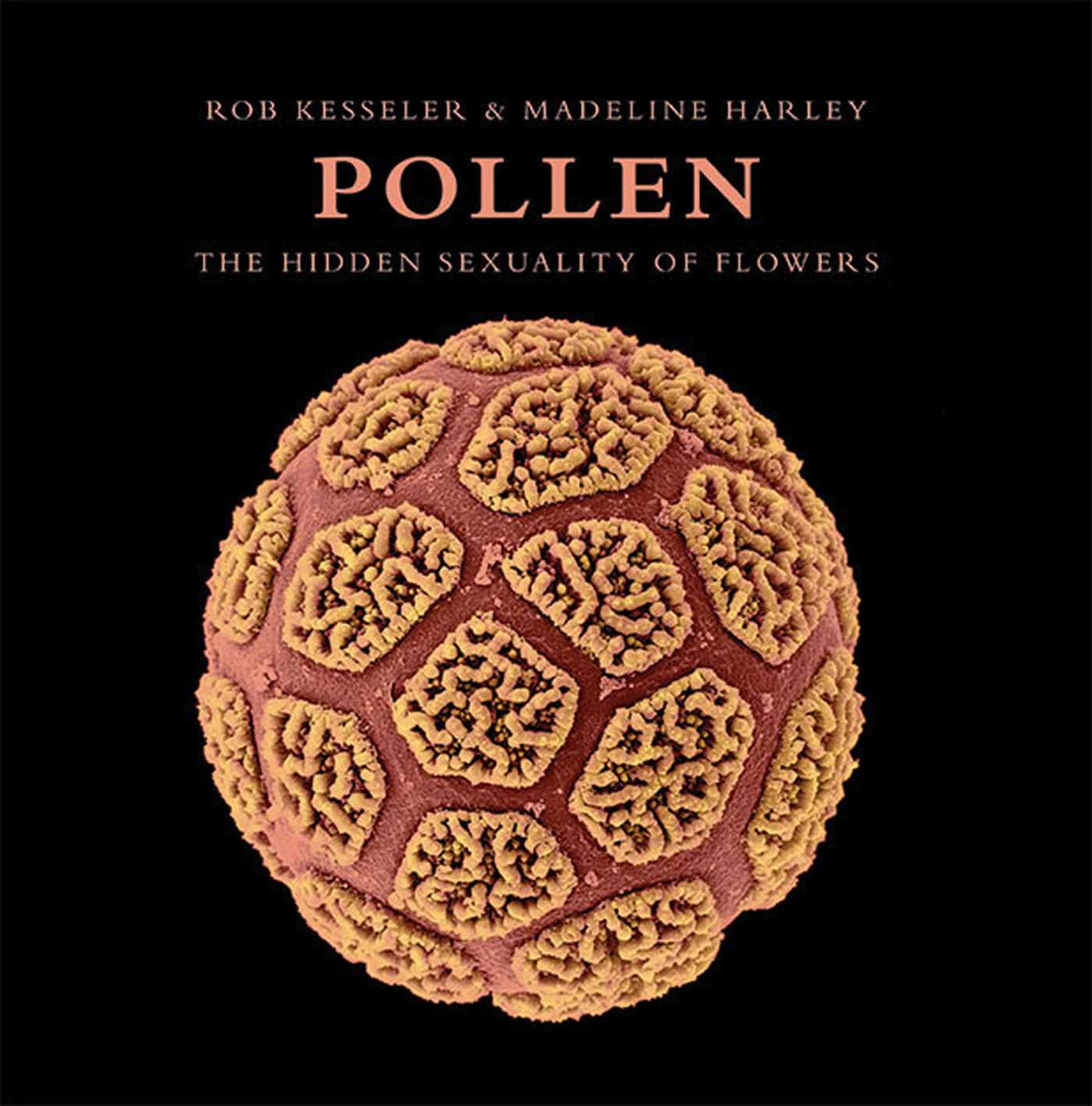 pollen the hidden sexuality of flowers walmart com