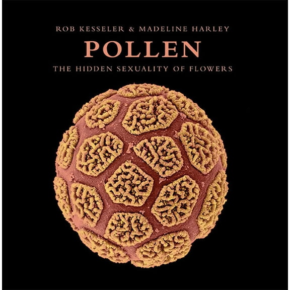 Pollen : The Hidden Sexuality of Flowers (Hardcover)