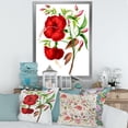thumbnail image 3 of Designart 'Ancient American Flora I' Traditional Framed Art Print, 3 of 4