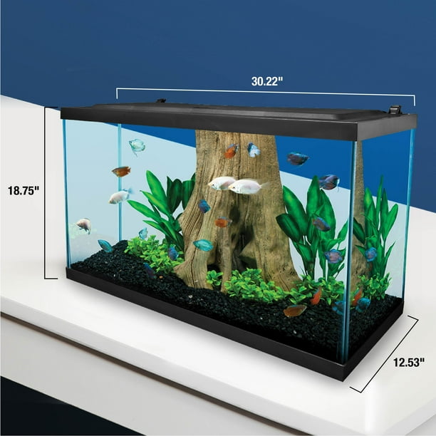 Tetra 29 Gallon Glass LED Aquarium Kit - Walmart Business