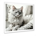 thumbnail image 2 of Designart "Portrait of Cuddling Cat in Black and White II" Animals Framed Wall Art Decor - Modern Black Cat Entryway Framed Wall Art, 2 of 6