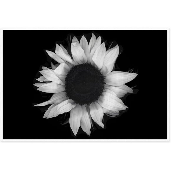 Wall Art Canvas Print Poster Black And White Sunflower Canvas Painting Abstract Oil Painting Contemporary Artwork for Home Decoration Office Kitchen Wall Decor 12x18inch