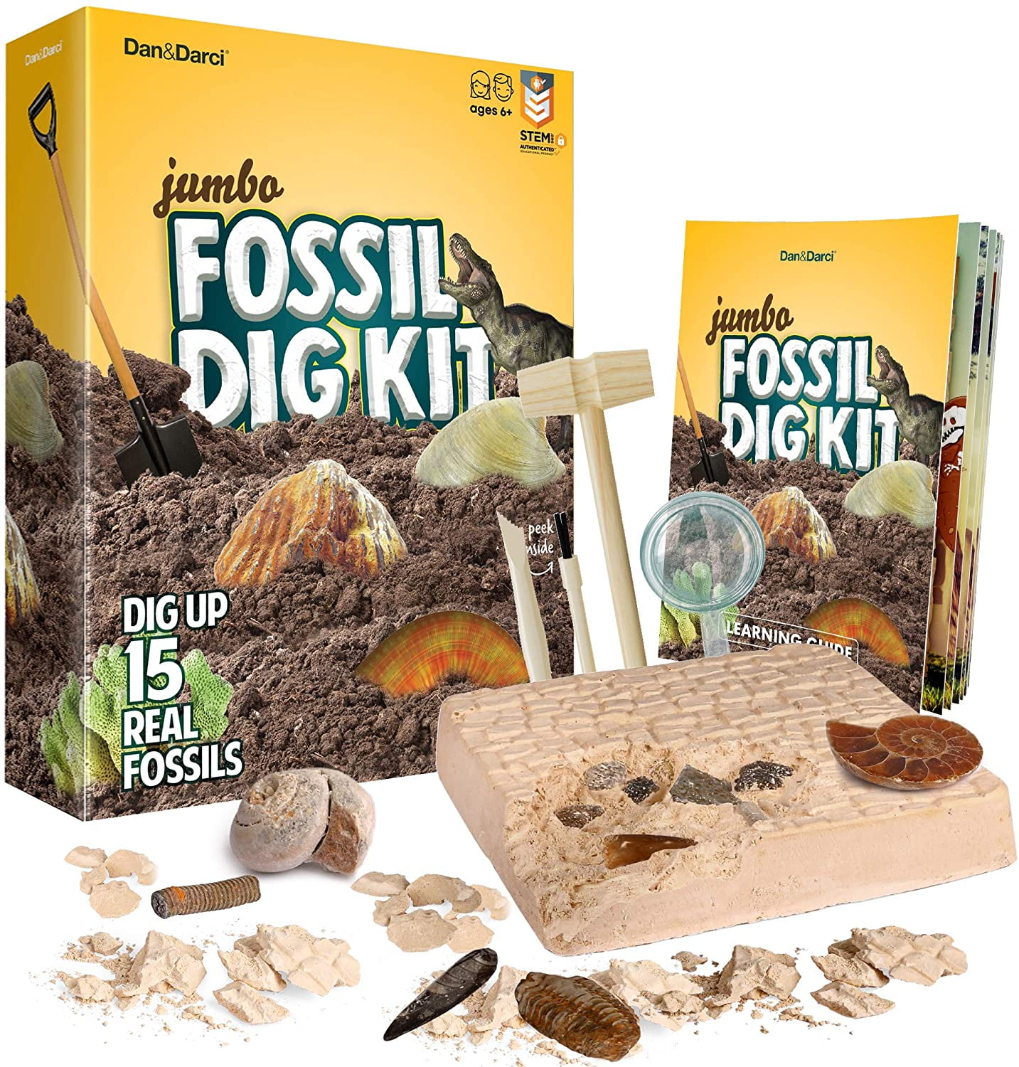 dinosaur fossil digging