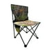 thumbnail image 1 of Silla Plegable de Playa Campamento Jardin con Bolsa verde claro, 1 of 4