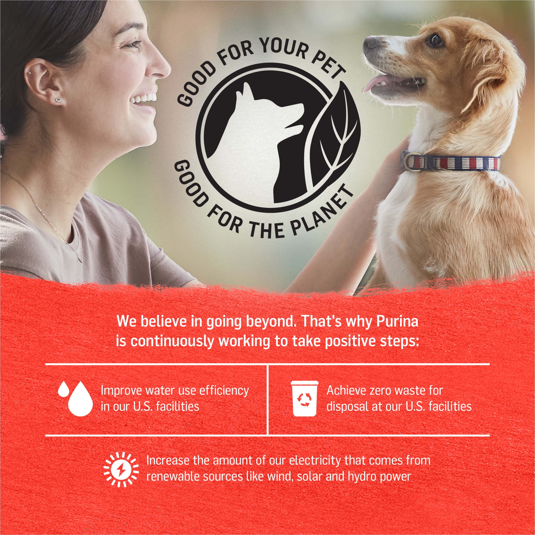 (12 pack) Purina Beyond Immune Health Wet Dog Food High Protein Ground Entree Beef & Potato, 13 oz Can