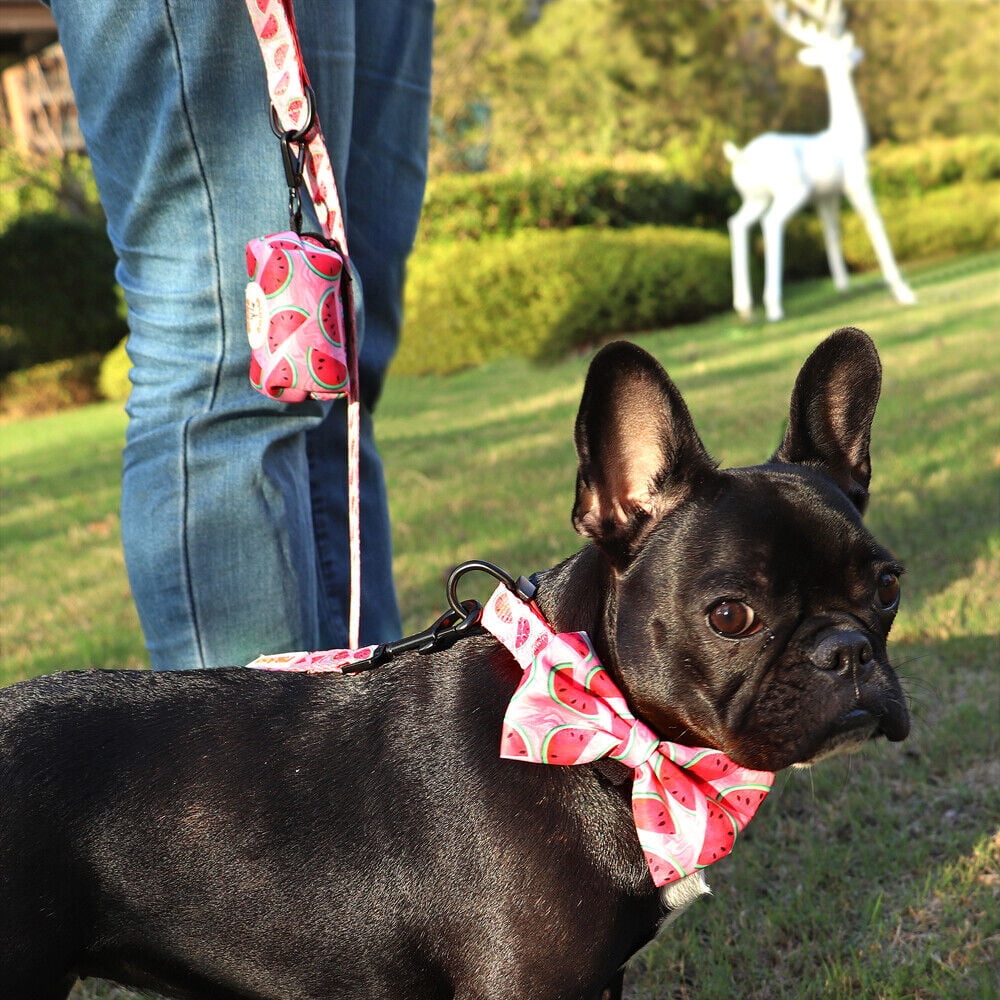 Didog Floral Cute Bowtie Dog Collar & Leash & Poop Bags Holder Adjustabale for Puppy