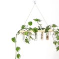 thumbnail image 1 of Tubo de ensayo de planta hidropónica de vidrio montado en la pared Tubo de ensayo hidropónico Decoración de pared Colgante de madera maciza Jarrón de pared montado en la pared, 1 of 4