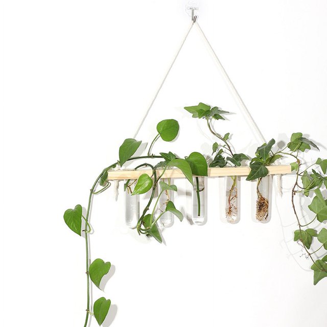 Tubo de ensayo de planta hidropónica de vidrio montado en la pared Tubo de ensayo hidropónico Decoración de pared Colgante de madera maciza Jarrón de pared montado en la pared