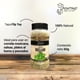 thumbnail image 2 of Oregano Pontino 60 g, 2 of 4