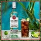 thumbnail image 3 of Pack de 2 Ron Bacardí Carta Blanca 750 ml, 3 of 3