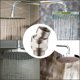 thumbnail image 5 of Billuyoard Adaptador de cabezal de ducha, desviador de latón de acero inoxidable, válvula de ducha, separador de agua para baño, accesorios de baño Accesorios de baño 1# Billuyoard HA002205-02, 5 of 6