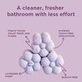 thumbnail image 5 of Lil Loos Essential Oil Toilet Bowl Bombs, 5 of 7