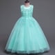 thumbnail image 1 of Vestido de novia largo para niños Vestido de princesa de malla abullonada Vestido de niña de 3 a 15 años Vestido de niña para niños Vestido de niña, 1 of 5