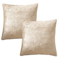 thumbnail image 1 of Housse de Coussin en Velours : 2 Pcs Housse de Coussin Moderne Décoration Maison, 1 of 7