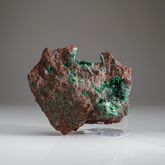 Malachite Crystals on Cuprite Matrix from Shaba Copper Belt, Katanga (Shaba) Province, Democratic Republic of the Congo (Zaire)
