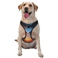 thumbnail image 1 of Kdxio Red And Blue Fire Cloud Dragon Print No Pull Dog Harness Adjustable Reflective Oxford Easy Control Medium Large Dog Harness for Training and Everyday-Small, 1 of 6
