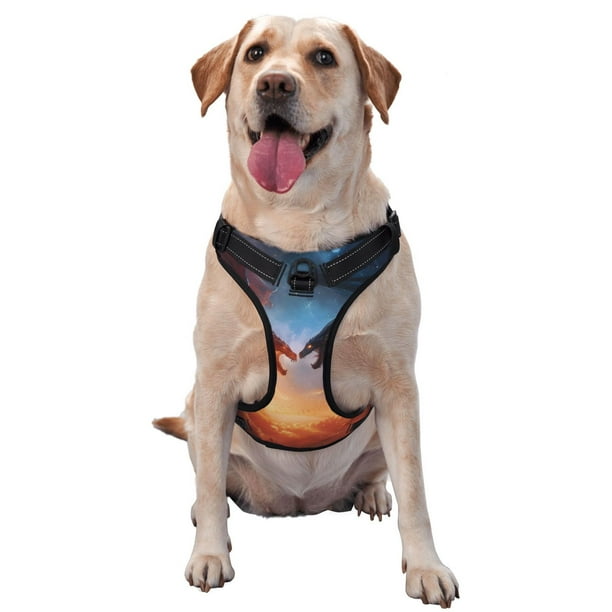 Balery Red And Blue Fire Cloud Dragon Arnés para Perros Grandes Antitirones, Arnés con Correa para Gato, Arnés Tipo Chaleco para Perros Pequeños-Medium