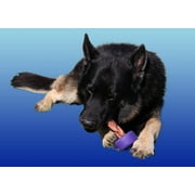 Bully Stick Holder - The BullyLok by Bully Grip