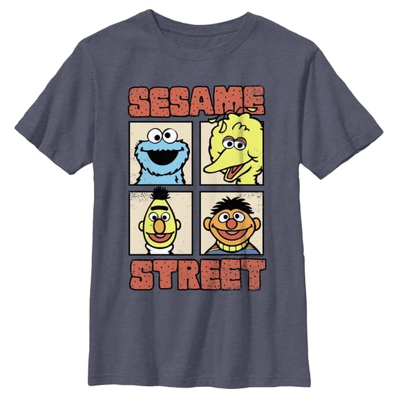 Boy's Sesame Street Four Panels Pals  Graphic T-Shirt