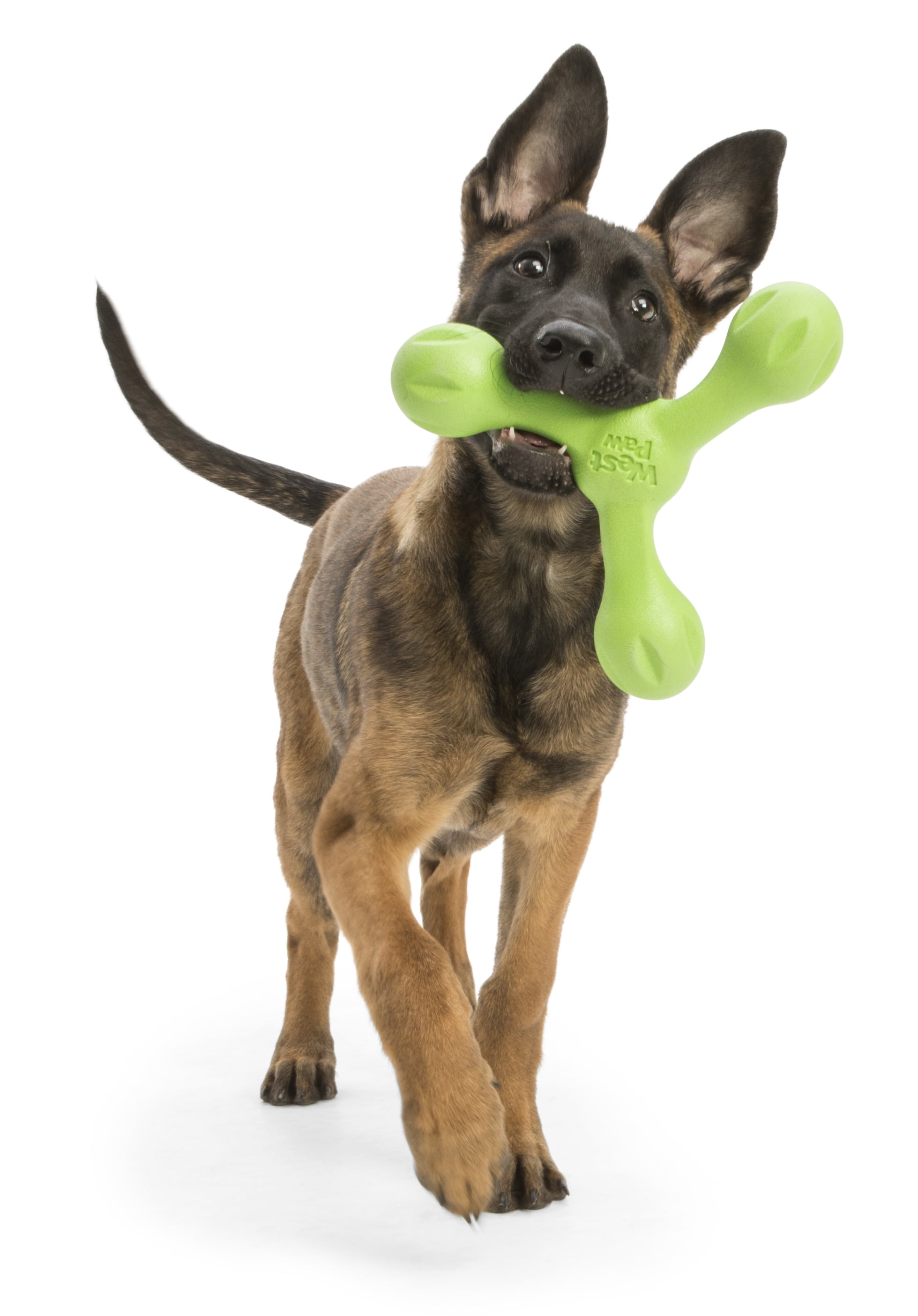 West Paw Zogoflex Echo Skamp Large 8.5" Dog Toy Jungle Green