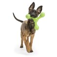 thumbnail image 5 of West Paw Zogoflex Echo Skamp Large 8.5" Dog Toy Jungle Green, 5 of 5