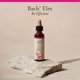 thumbnail image 5 of Remedios florales originales de Bach, esencia floral, olmo, 20 ml, 5 of 6