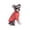 Red, variant on Dog Sweater, Suitable For Small Dogs, Unisex, Warm And Soft Fleece Sweatshirt Set For Winter, Suitable For Cats, Dogs And Other Pets (Red, Small).