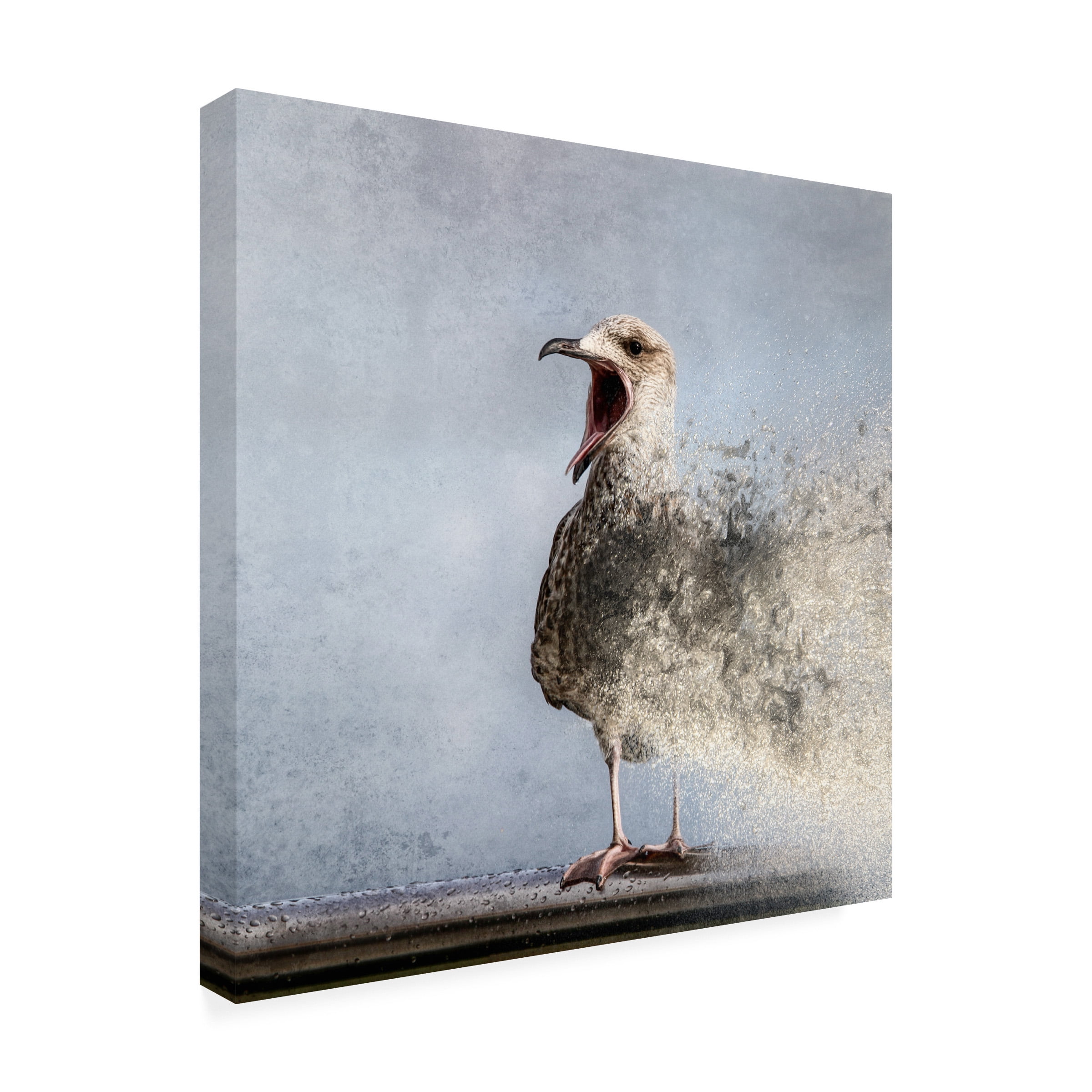 Bruno Flour 'Waterbird' Canvas Art