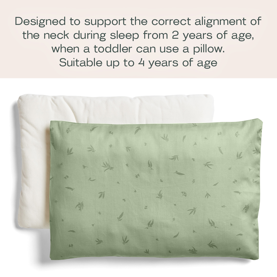 ergoPouch 0.3 TOG Toddler Pillow with Case - Made From and Filled with 100% GOTS Fertified Organic Cotton - Provides Pure Comfort for Your Little One's Peaceful Sleep (Toddler, Willow)