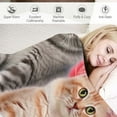 thumbnail image 3 of JEUXUS  Cat Blanket,Cat Lover Gifts for Women,Kitty Blanket Gifts for Cat Lovers,Kitten Blanket Throw for Bedroom Sofa Couch Cat Gifts for Girls Cat Lover Gift Blanket, 3 of 6