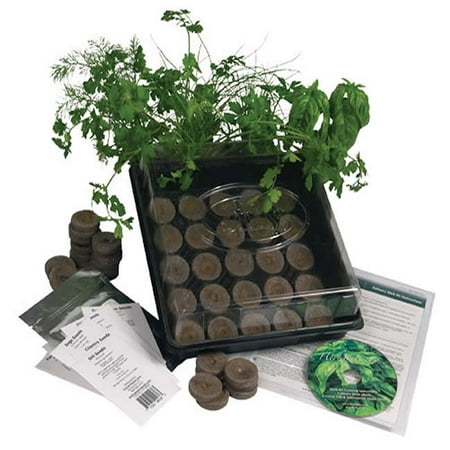 Indoor Culinary Herb Garden Starter Kit, Grow Fresh Cooking Herbs & Spices - Basil, Dill, Thyme, Cilantro &