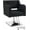 Black, variant on BarberPub Classic Swivel Salon Chair, Hydraulic Barber Chair
