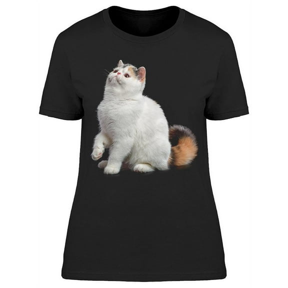 White Calico Exotic  Cat T-Shirt Women -Image by Shutterstock, Female 3X-Large