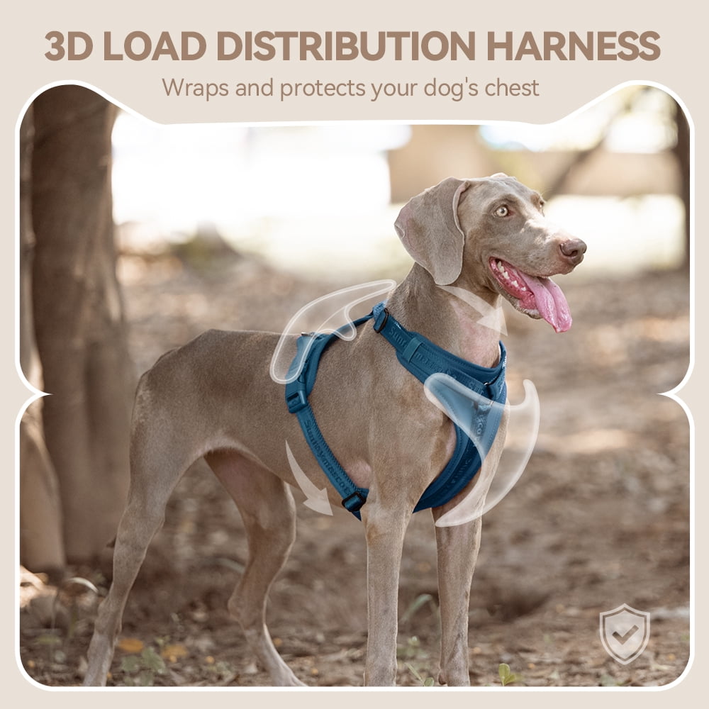 No Pull Dog Harness with Lycra, Three-Point Force Dispersion , Adjustable Breathable Mesh for Small Medium Large Dogs