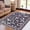 black, variant on 2*6ft/4*6ft/5*7ft/8*10ft/9*12ft/10*13ft Modern Floral Insect Area Rug Washable Rug Stain Resistant Throw Carpet Butterfly Print Low Pile Folding Floor Cover with Non-Slip Backing