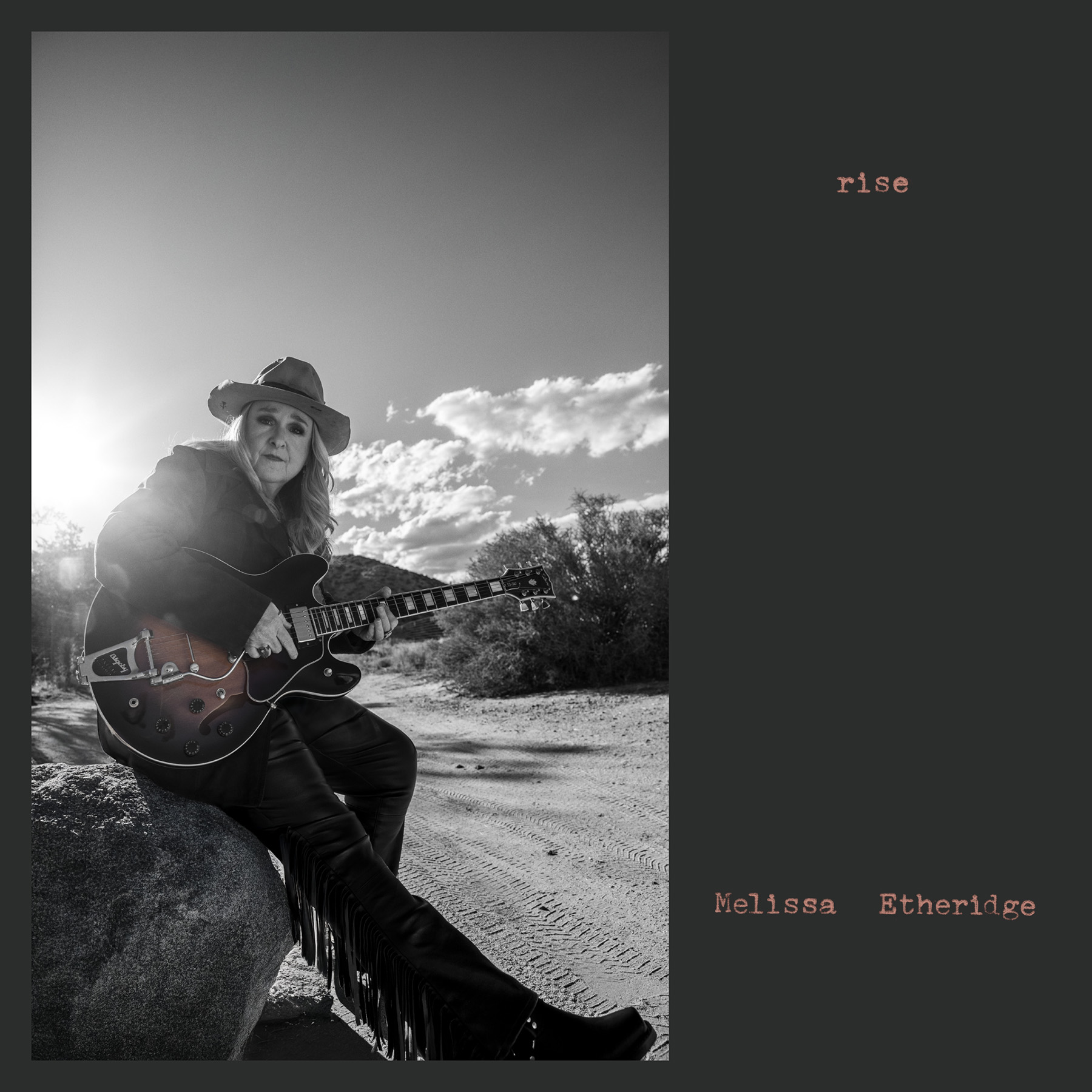 Melissa Etheridge - Rise - Music & Performance - CD - Walmart.com
