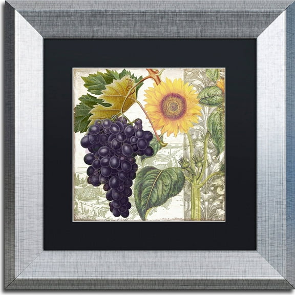 Trademark Fine Art "Dolcetto I" Canvas Art by Color Bakery, Black Matte, Silver Frame