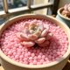 thumbnail image 5 of Piedras Luminosas para Decoración de Jardín y Acuario, Guijarros que Brillan en la Oscuridad, Resina Natural, Uso Interior y Exterior, 150 Piezas, 5 of 9
