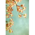 thumbnail image 2 of Poinski, Dianne 13x18 White Modern Wood Framed Museum Art Print Titled - Pink Petals 3, 2 of 4