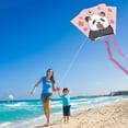 thumbnail image 2 of ToysYGift Panda Kites for Kids and Adults, Easy to Fly Single Line Kite for Boys and Girls - 29" x 19" Beach Kite for Beginners, 2 of 8