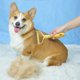 thumbnail image 5 of Herramienta Para Eliminar El Pelo De Mascotas Peine Doble Desenredante Para Gatos Y Perros Peine De Acero Inoxidable Para Eliminar El Pelo Peine Para Gatos Eliminador De Pelo De Mascotas Herramien, 5 of 8